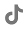 tiktok icon