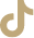 tiktok icon